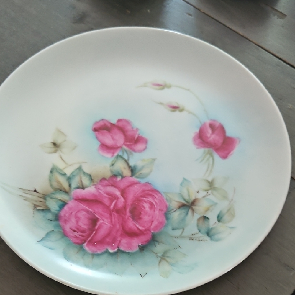 Floral Pink and Green Plate